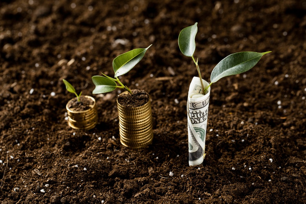 Green Bonds Explained: Investing with a Purpose